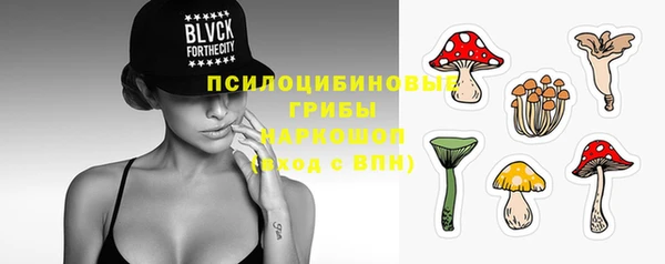 шишки Михайловск